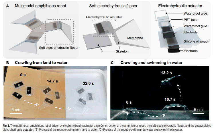 A Multimodal Amphibious Robot Driven by Soft Electrohydraulic Flippers.（软电液鳍驱动的多模态两栖机器人）
